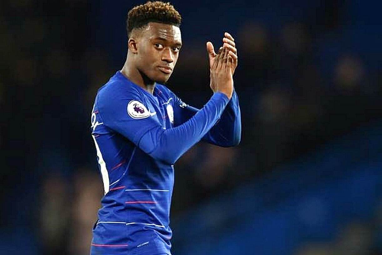 国王爆发新星，迎来胜利刷新纪录，状态爆棚球队迎来希望！